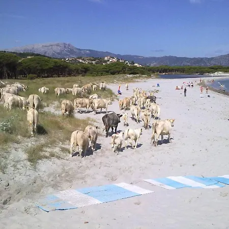 Apartment A Due Passi Dalla Spiaggia
