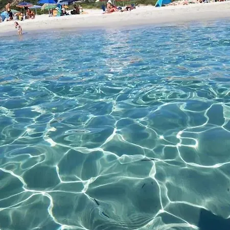 A Due Passi Dalla Spiaggia Apartment *