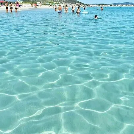 A Due Passi Dalla Spiaggia Apartment *