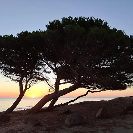 A Due Passi Dalla Spiaggia